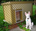 Dog House Plans, K-9 Law Enforcement Dog House Plans